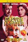 Cactus Flower